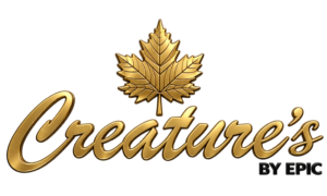 thecreaturesstudio.com